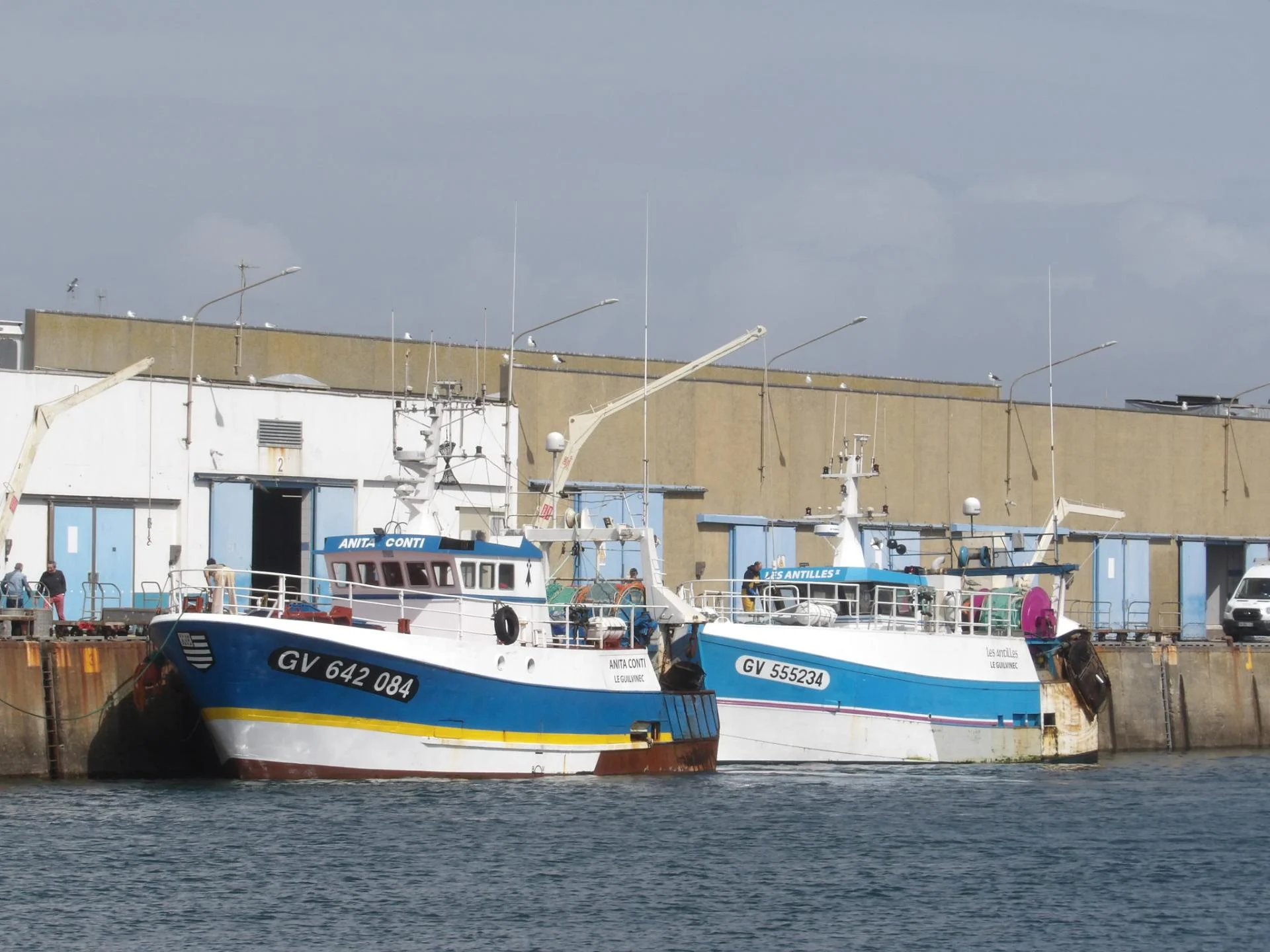 Anita conti et les antilles stguenole